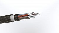 Кабель АКПсВГЭ 10х2,5